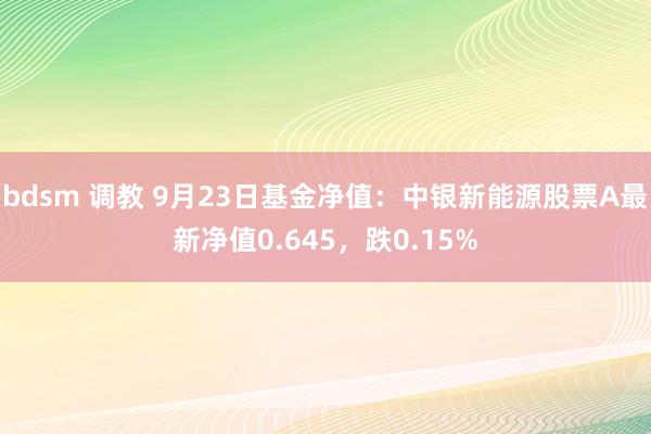 bdsm 调教 9月23日基金净值：中银新能源股票A最新净值0.645，跌0.15%
