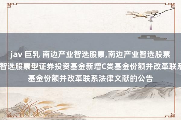 jav 巨乳 南边产业智选股票,南边产业智选股票C: 对于南边产业智选股票型证券投资基金新增C类基金份额并改革联系法律文献的公告