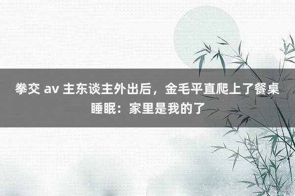 拳交 av 主东谈主外出后，金毛平直爬上了餐桌睡眠：家里是我的了