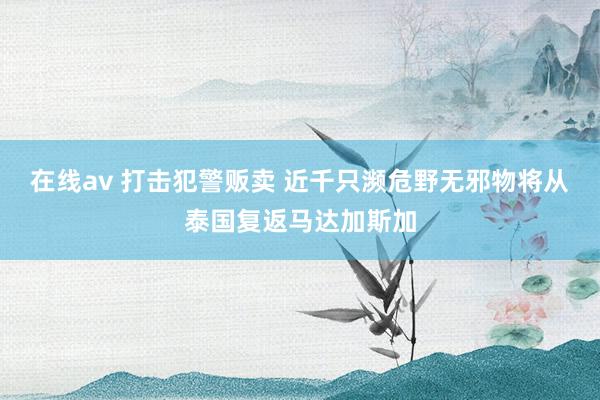 在线av 打击犯警贩卖 近千只濒危野无邪物将从泰国复返马达加斯加
