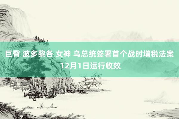 巨臀 波多黎各 女神 乌总统签署首个战时增税法案 12月1日运行收效