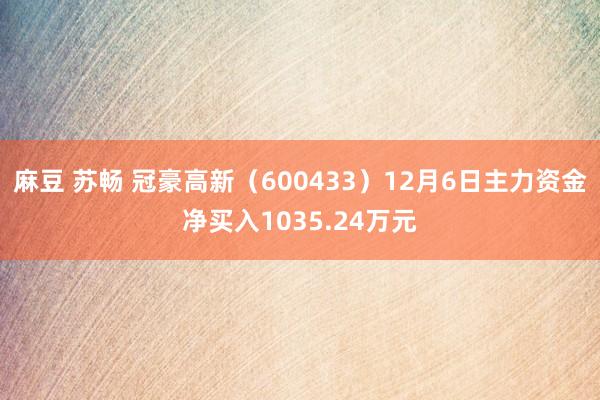 麻豆 苏畅 冠豪高新（600433）12月6日主力资金净买入1035.24万元