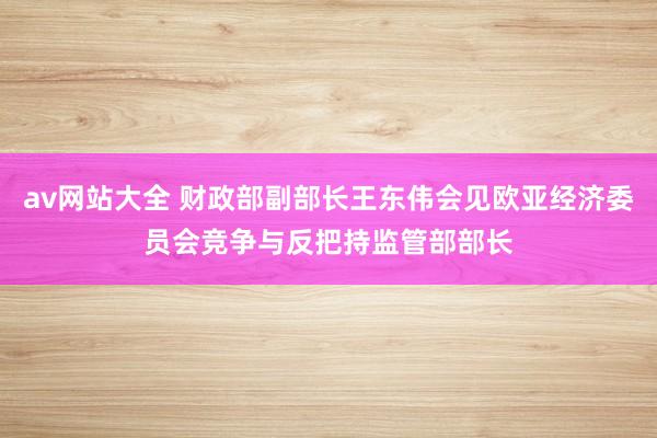 av网站大全 财政部副部长王东伟会见欧亚经济委员会竞争与反把持监管部部长