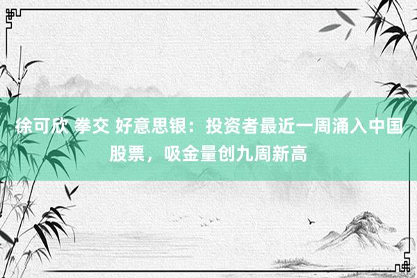 徐可欣 拳交 好意思银：投资者最近一周涌入中国股票，吸金量创九周新高