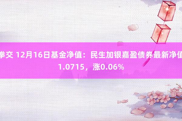 拳交 12月16日基金净值：民生加银嘉盈债券最新净值1.0715，涨0.06%