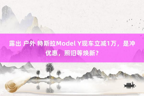 露出 户外 特斯拉Model Y现车立减1万，是冲优惠，照旧等焕新？