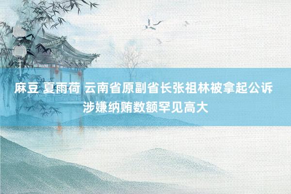 麻豆 夏雨荷 云南省原副省长张祖林被拿起公诉 涉嫌纳贿数额罕见高大