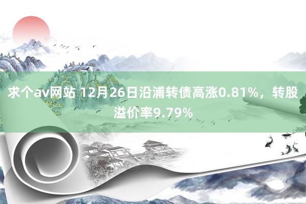 求个av网站 12月26日沿浦转债高涨0.81%，转股溢价率9.79%