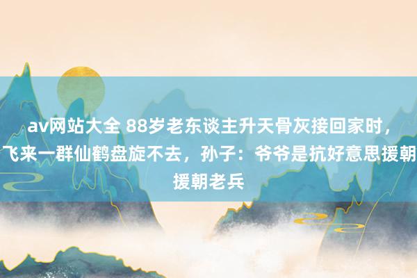 av网站大全 88岁老东谈主升天骨灰接回家时，太空飞来一群仙鹤盘旋不去，孙子：爷爷是抗好意思援朝老兵