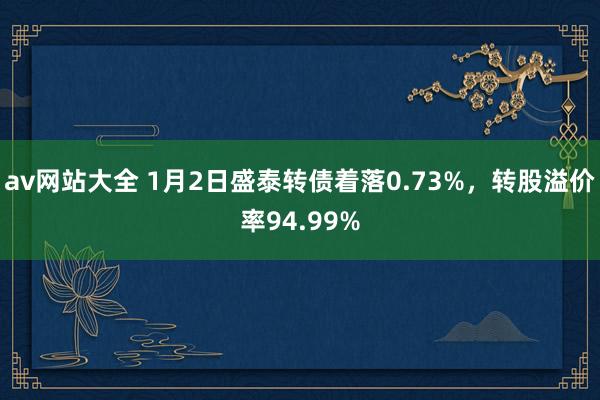 av网站大全 1月2日盛泰转债着落0.73%，转股溢价率94.99%