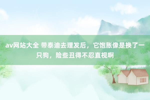 av网站大全 带泰迪去理发后，它饱胀像是换了一只狗，险些丑得不忍直视啊