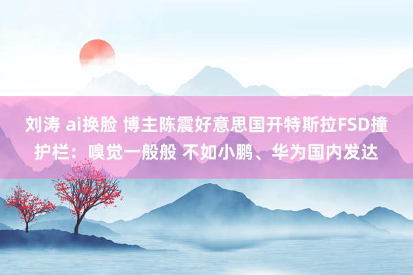 刘涛 ai换脸 博主陈震好意思国开特斯拉FSD撞护栏：嗅觉一般般 不如小鹏、华为国内发达