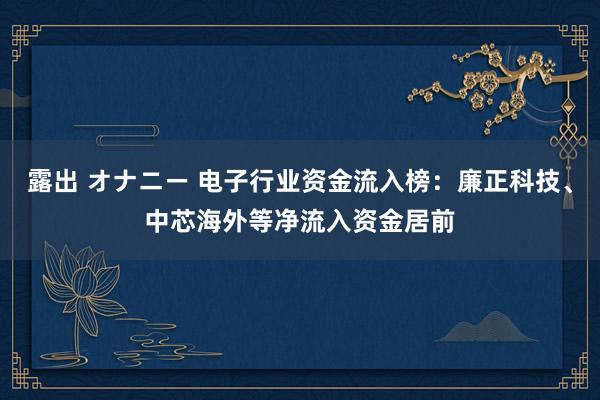 露出 オナニー 电子行业资金流入榜：廉正科技、中芯海外等净流入资金居前