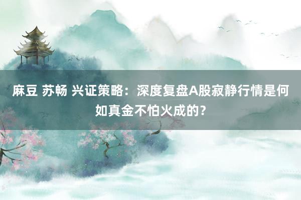 麻豆 苏畅 兴证策略：深度复盘A股寂静行情是何如真金不怕火成的？