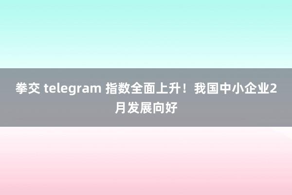 拳交 telegram 指数全面上升！我国中小企业2月发展向好