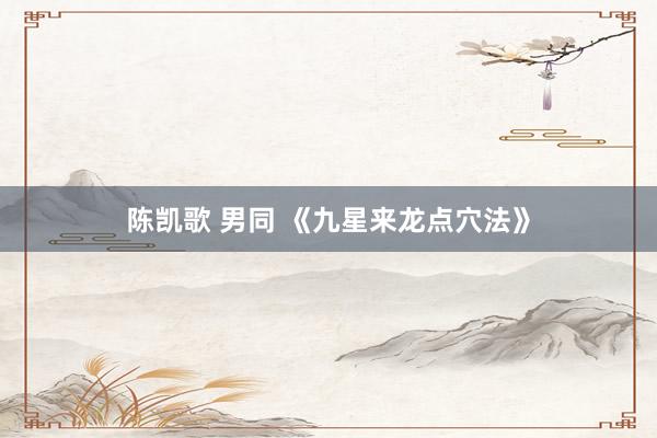 陈凯歌 男同 《九星来龙点穴法》