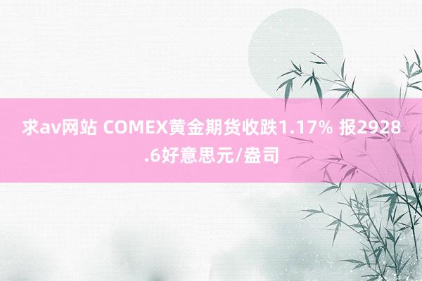求av网站 COMEX黄金期货收跌1.17% 报2928.6好意思元/盎司