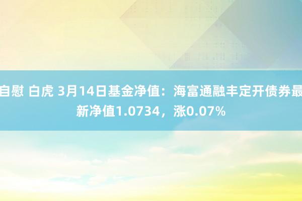 自慰 白虎 3月14日基金净值：海富通融丰定开债券最新净值1.0734，涨0.07%