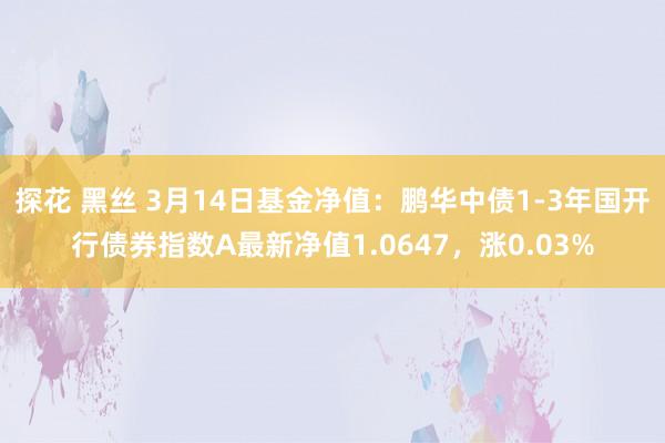 探花 黑丝 3月14日基金净值：鹏华中债1-3年国开行债券指数A最新净值1.0647，涨0.03%
