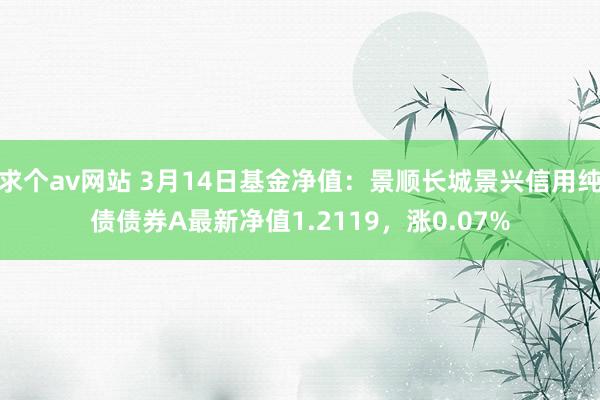 求个av网站 3月14日基金净值：景顺长城景兴信用纯债债券A最新净值1.2119，涨0.07%