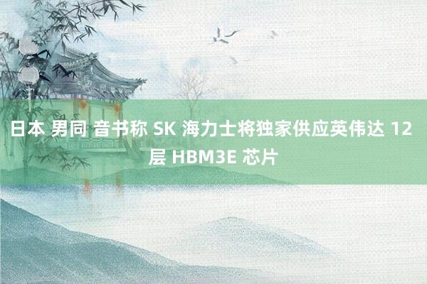 日本 男同 音书称 SK 海力士将独家供应英伟达 12 层 HBM3E 芯片