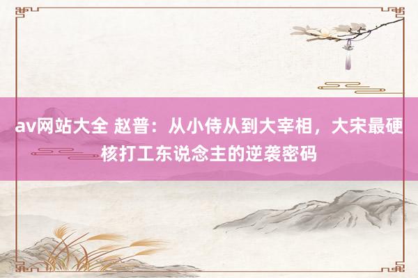 av网站大全 赵普：从小侍从到大宰相，大宋最硬核打工东说念主的逆袭密码
