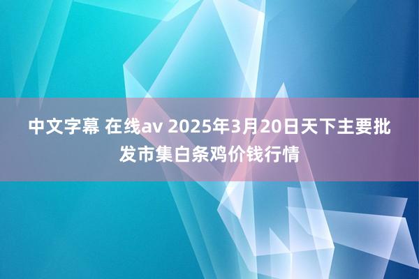 中文字幕 在线av 2025年3月20日天下主要批发市集白条鸡价钱行情