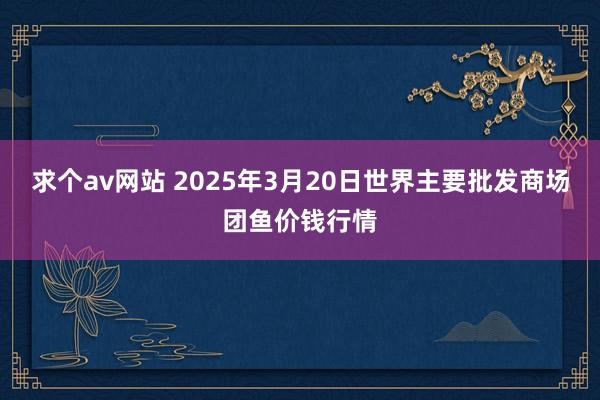 求个av网站 2025年3月20日世界主要批发商场团鱼价钱行情