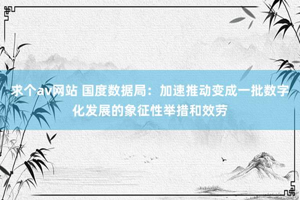 求个av网站 国度数据局：加速推动变成一批数字化发展的象征性举措和效劳