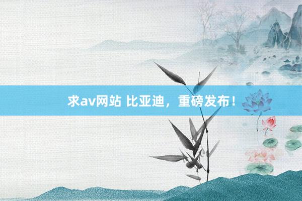 求av网站 比亚迪，重磅发布！