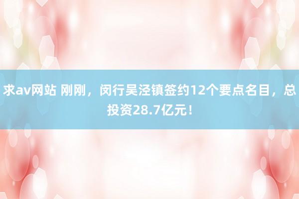 求av网站 刚刚，闵行吴泾镇签约12个要点名目，总投资28.7亿元！