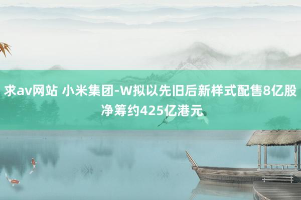 求av网站 小米集团-W拟以先旧后新样式配售8亿股 净筹约425亿港元