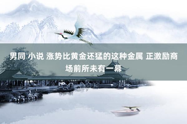 男同 小说 涨势比黄金还猛的这种金属 正激励商场前所未有一幕
