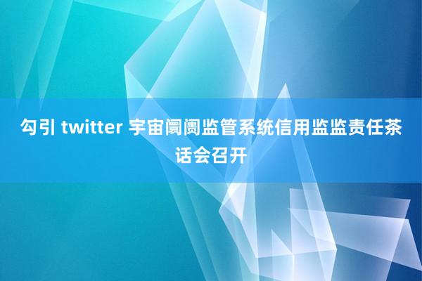 勾引 twitter 宇宙阛阓监管系统信用监监责任茶话会召开