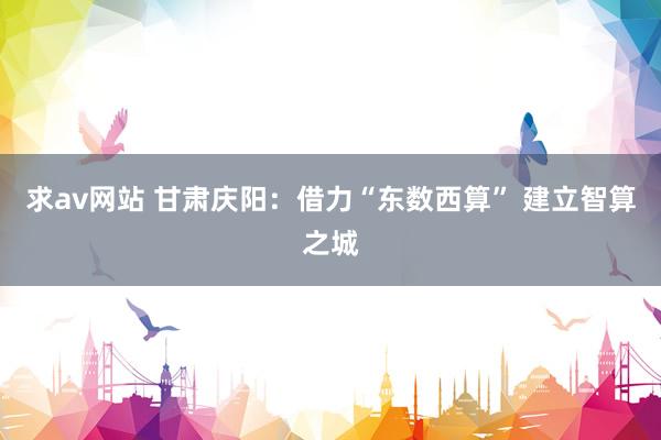 求av网站 甘肃庆阳：借力“东数西算” 建立智算之城