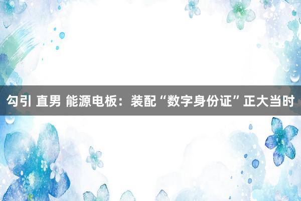 勾引 直男 能源电板：装配“数字身份证”正大当时