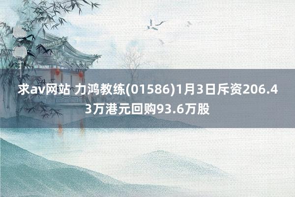 求av网站 力鸿教练(01586)1月3日斥资206.43万港元回购93.6万股