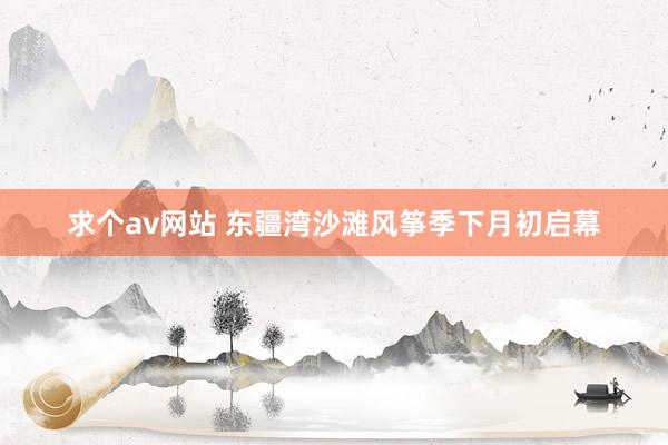 求个av网站 东疆湾沙滩风筝季下月初启幕