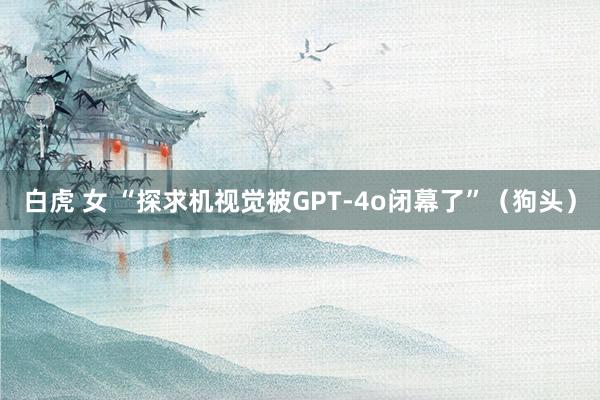 白虎 女 “探求机视觉被GPT-4o闭幕了”（狗头）