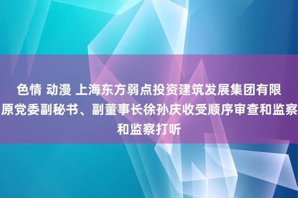 色情 动漫 上海东方弱点投资建筑发展集团有限公司原党委副秘书、副董事长徐孙庆收受顺序审查和监察打听