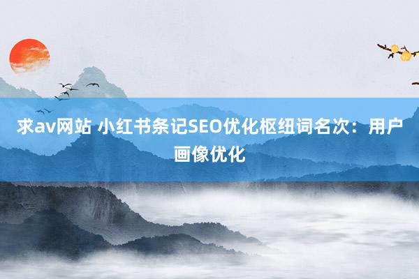 求av网站 小红书条记SEO优化枢纽词名次：用户画像优化