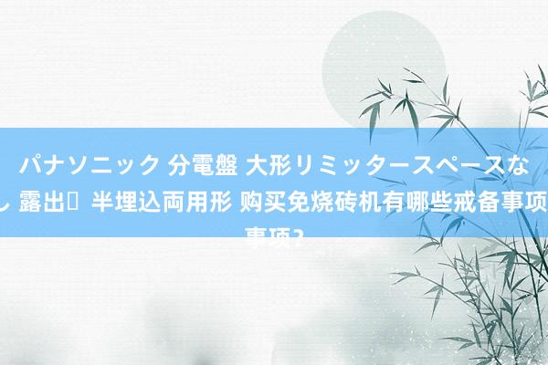 パナソニック 分電盤 大形リミッタースペースなし 露出・半埋込両用形 购买免烧砖机有哪些戒备事项？
