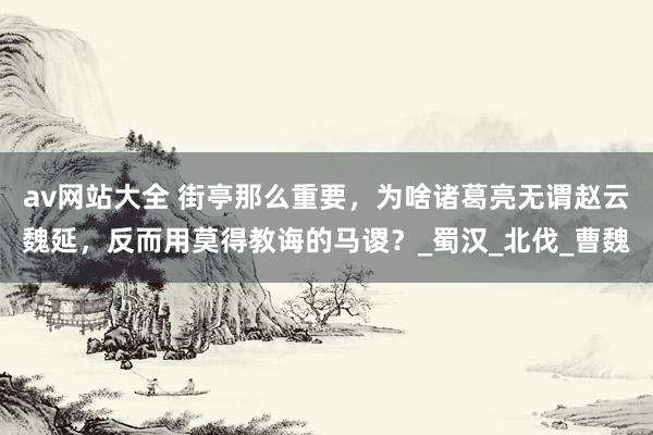av网站大全 街亭那么重要，为啥诸葛亮无谓赵云魏延，反而用莫得教诲的马谡？_蜀汉_北伐_曹魏