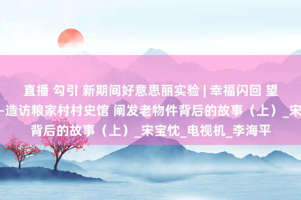 直播 勾引 新期间好意思丽实验 | 幸福闪回 望向甜密生存的来源——造访粮家村村史馆 阐发老物件背后的故事（上）_宋宝忱_电视机_李海平