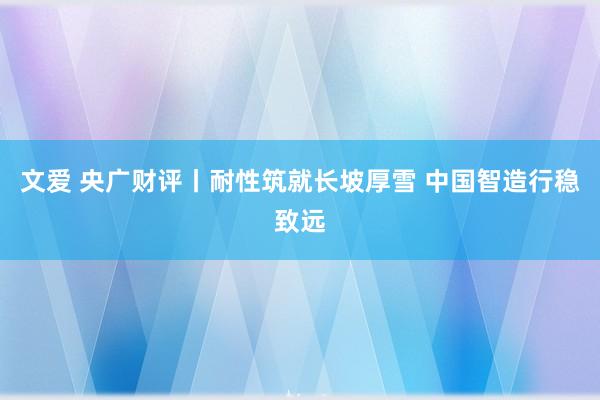 文爱 央广财评丨耐性筑就长坡厚雪 中国智造行稳致远