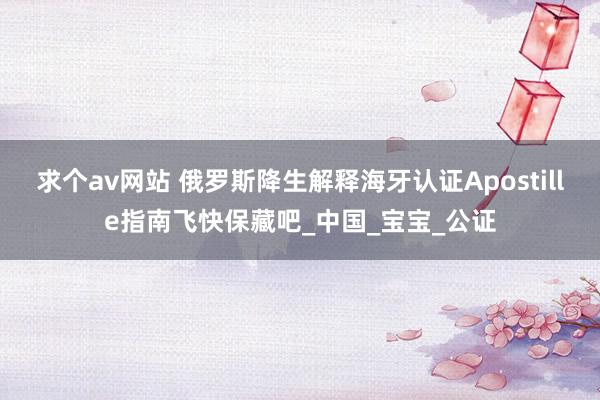 求个av网站 俄罗斯降生解释海牙认证Apostille指南飞快保藏吧_中国_宝宝_公证