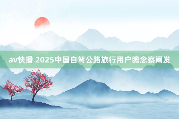 av快播 2025中国自驾公路旅行用户瞻念察阐发