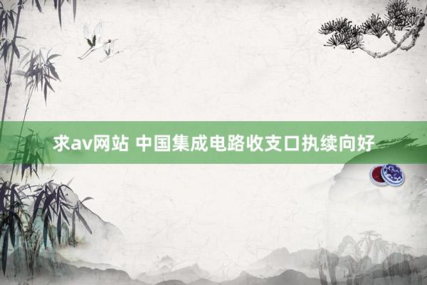 求av网站 中国集成电路收支口执续向好
