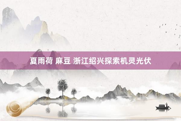 夏雨荷 麻豆 浙江绍兴探索机灵光伏