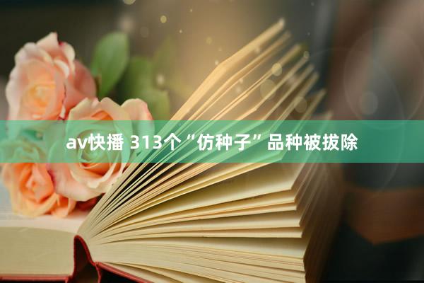 av快播 313个“仿种子”品种被拔除